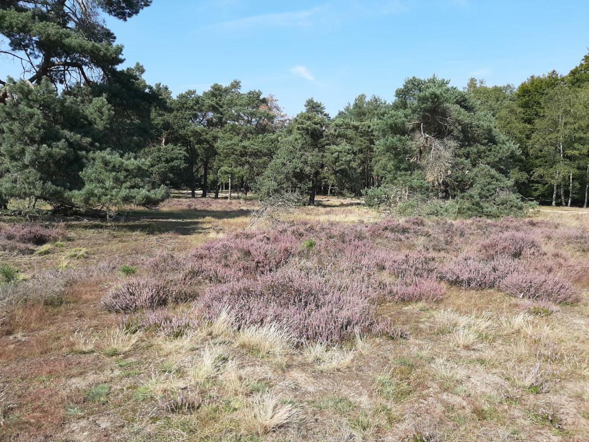 't Grieze Huysje Holiday home Otterlo